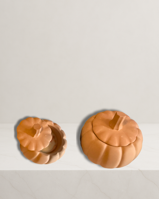 Handmade Pumpkin Spice Candle in Pumpkin Holder